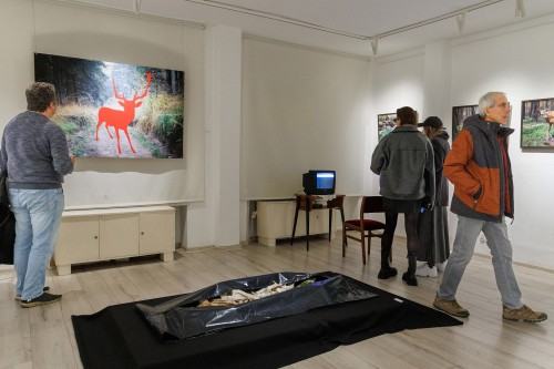 Otwarcie wystawy Ewy Martyniszyn pt. O doświadczeniu bezpośrednim i jego braku