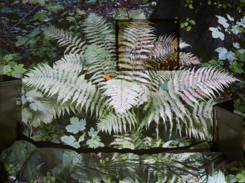 Grzegorz Jaworski, Las