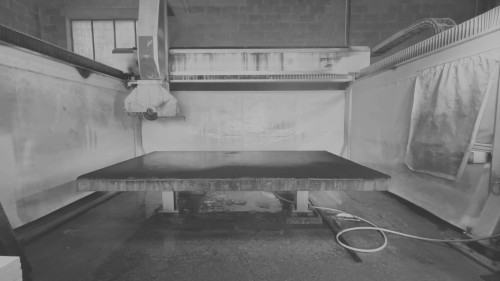 Alicja Pruchniewicz, Lathraea-squamaria-parasite-plant