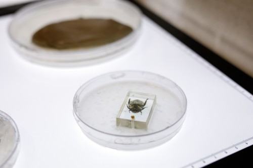 Response of the body under different social structures , Dilay Kocogullari