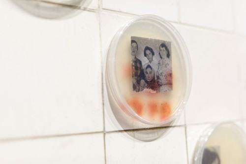 Response of the body under different social structures , Dilay Kocogullari