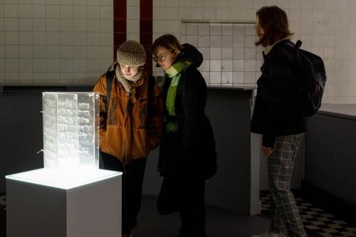 Response of the body under different social structures , Dilay Kocogullari