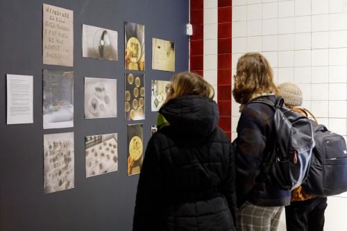 Response of the body under different social structures , Dilay Kocogullari