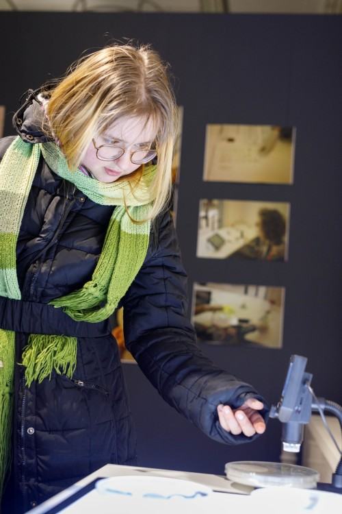 Response of the body under different social structures , Dilay Kocogullari