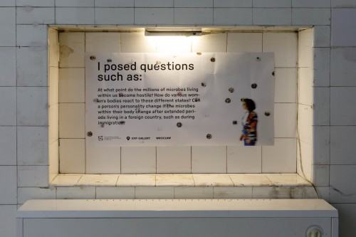 Response of the body under different social structures , Dilay Kocogullari