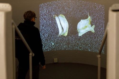 Response of the body under different social structures , Dilay Kocogullari