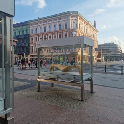 Rzeźba wobec funkcji