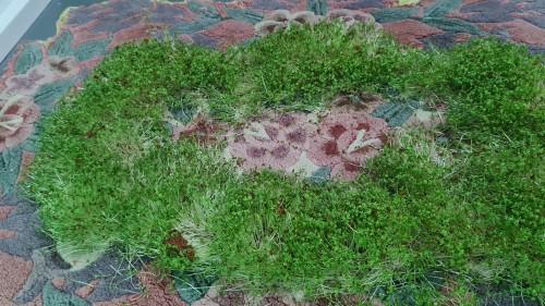 Otwarcie wystawy Ujęcie CO2