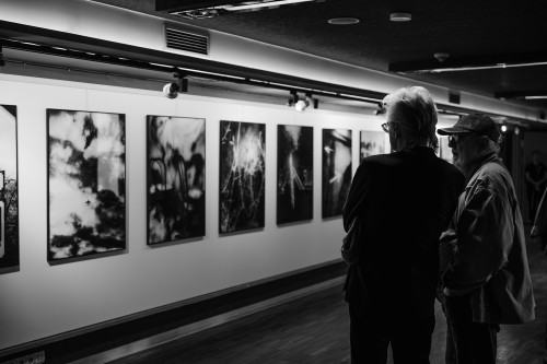 Między cieniem a czułością