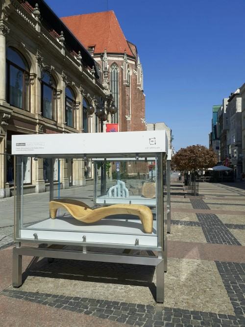 Rzeźba wobec funkcji