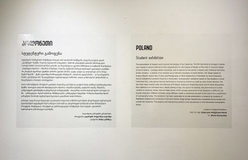 Biennale Scenografii w Tbilisi, wystawa