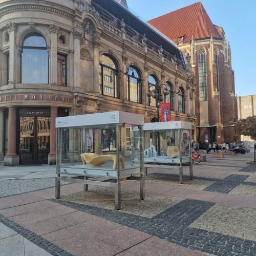 Rzeźba wobec funkcji