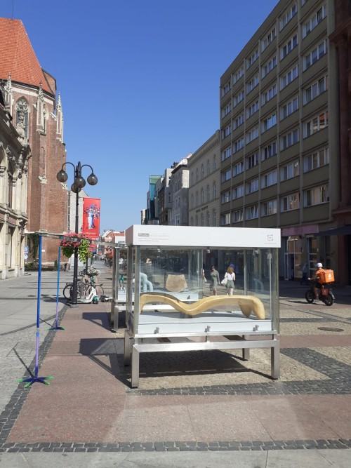 Rzeźba wobec funkcji