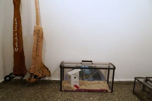 Marek Sienkiewicz, O zanikających Polskich Ogrodach