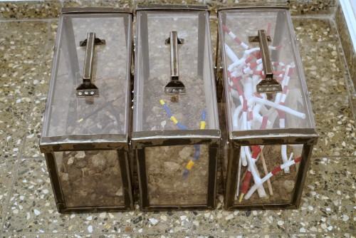 Marek Sienkiewicz, O zanikających Polskich Ogrodach