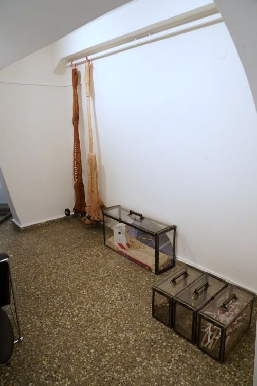 Marek Sienkiewicz, O zanikających Polskich Ogrodach