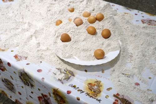 Marek Sienkiewicz, O zanikających Polskich Ogrodach