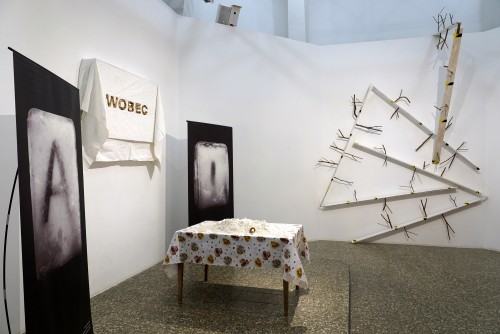 Marek Sienkiewicz, O zanikających Polskich Ogrodach