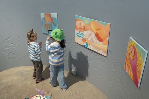 Katarzyna Frankowska, Akceleracja wybudzania, wernisaż