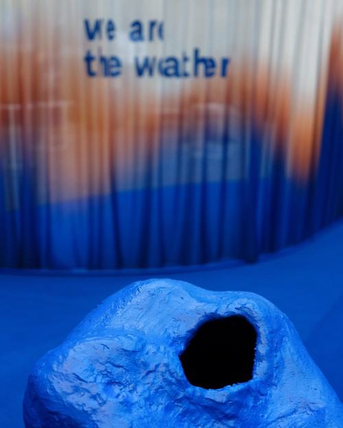 Alicja PAtanowska, zdj. Jakub Celej / IAM