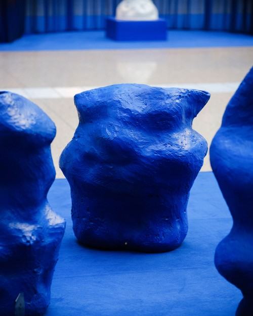 Alicja PAtanowska, zdj. Jakub Celej / IAM