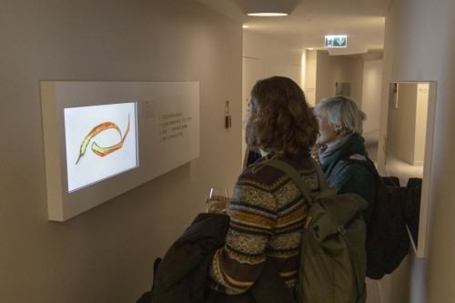 Wernisaż wystawy 50 lat – 50 ekranów, fot. Mateusz Zawada