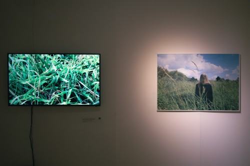 Wobec Piękna na zamku w Sosnowcu