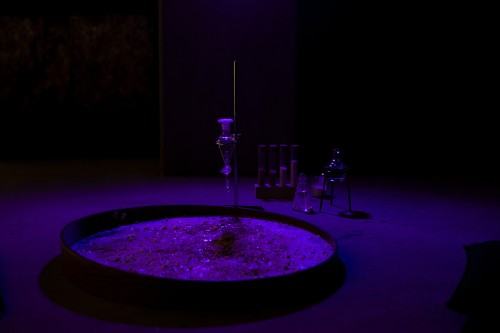 fotorelacja z wystawy TINNITUS AURIS