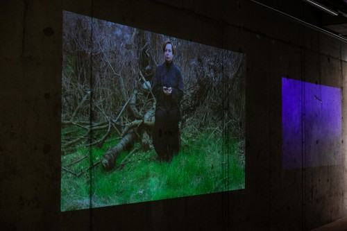 fotorelacja z wystawy TINNITUS AURIS