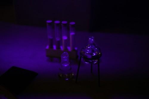 fotorelacja z wystawy TINNITUS AURIS