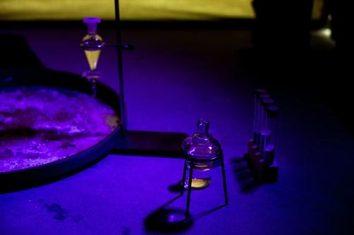 fotorelacja z wystawy TINNITUS AURIS