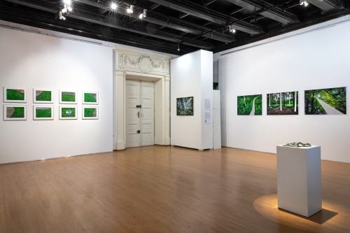 Michał Pietrzak Terytoria