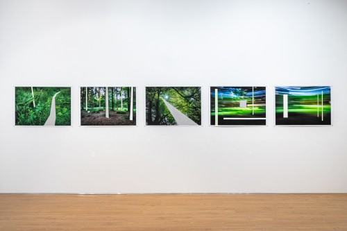 Michał Pietrzak Terytoria