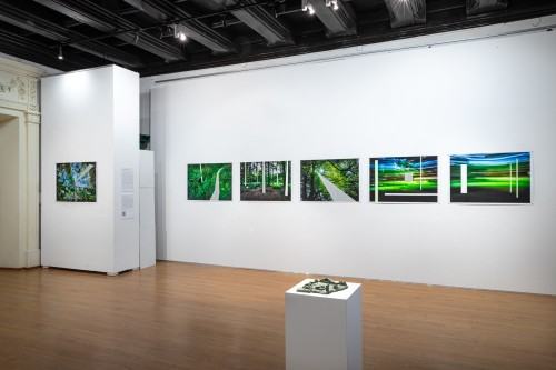 Michał Pietrzak Terytoria