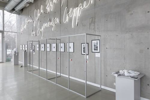 2023.03.08 DOK Hol CSU Śnienia Przybyszowska Krupa-Kapuśniak