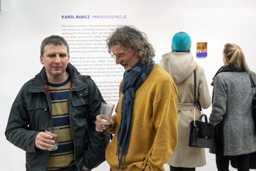 Karol Babicz - Mikroekspresje
