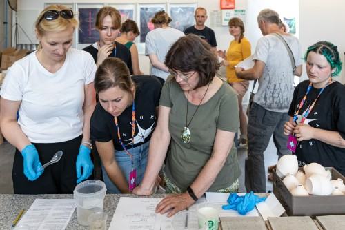 Warsztaty Ekspresja pierwiastków – laboratorium barw, XIV FWT