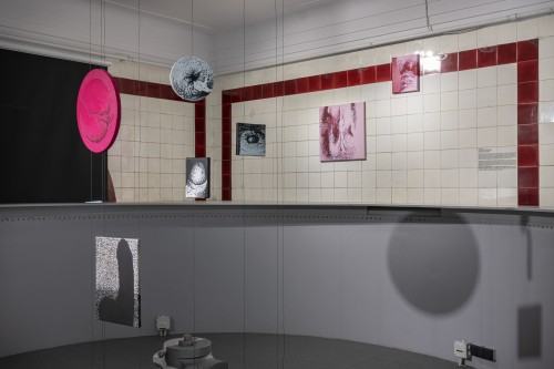 Ewa Babiarz / Too many Dicks on the Dance Floor