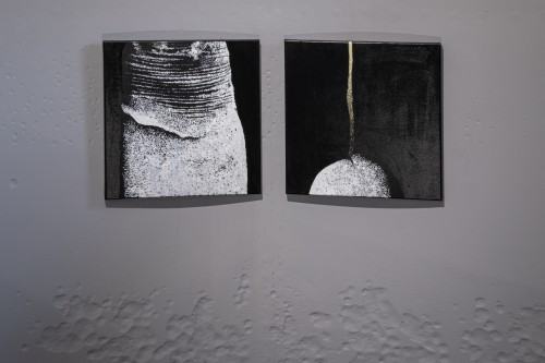 Ewa Babiarz / Too many Dicks on the Dance Floor