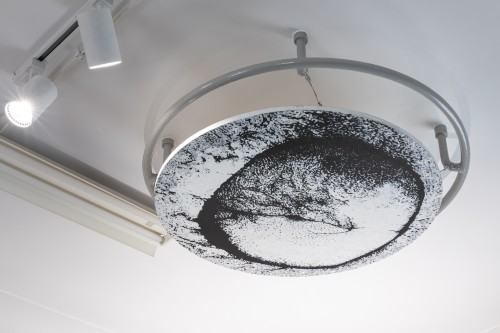 Ewa Babiarz / Too many Dicks on the Dance Floor