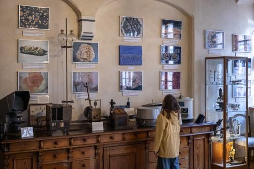 zdjecie M. Pietrzak