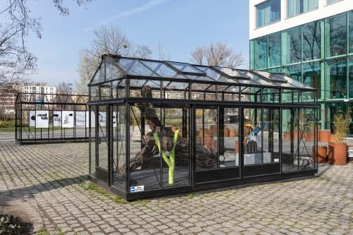 Hubert Bujak - D.N.A.