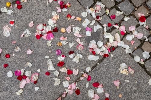 Kobierzec_Grzegorz Niemyjski