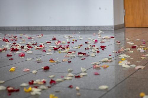 Kobierzec_Grzegorz Niemyjski