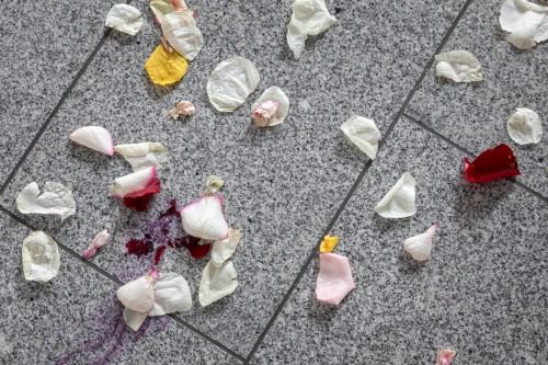 Kobierzec_Grzegorz Niemyjski