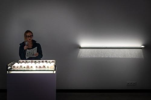 Ogród wojenny_oprowadzanie kuratorskie