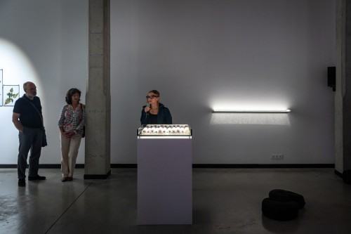 Ogród wojenny_oprowadzanie kuratorskie