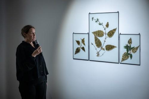 Ogród wojenny_oprowadzanie kuratorskie