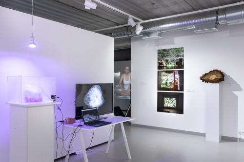 Sympozjum Sztuki Było, Jest i Będzie - Zmiana