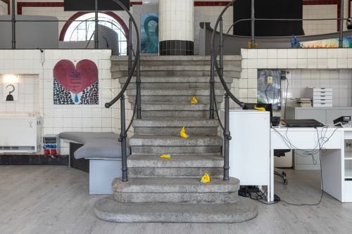 Katarzyna Frankowska / Akceleracja wybudzania